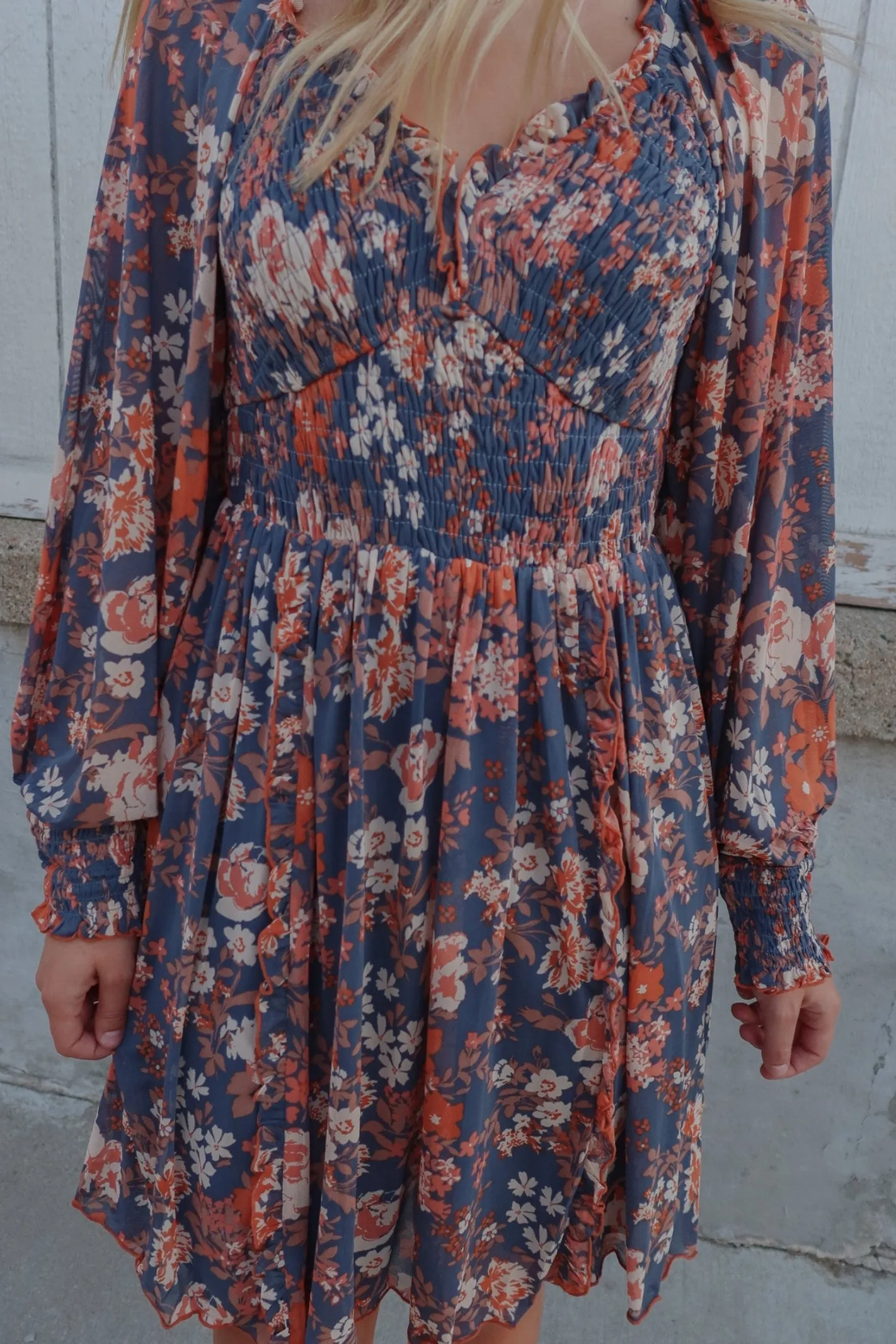 Falling Petals Floral Print Mesh Smocked Long Sleeve Dress