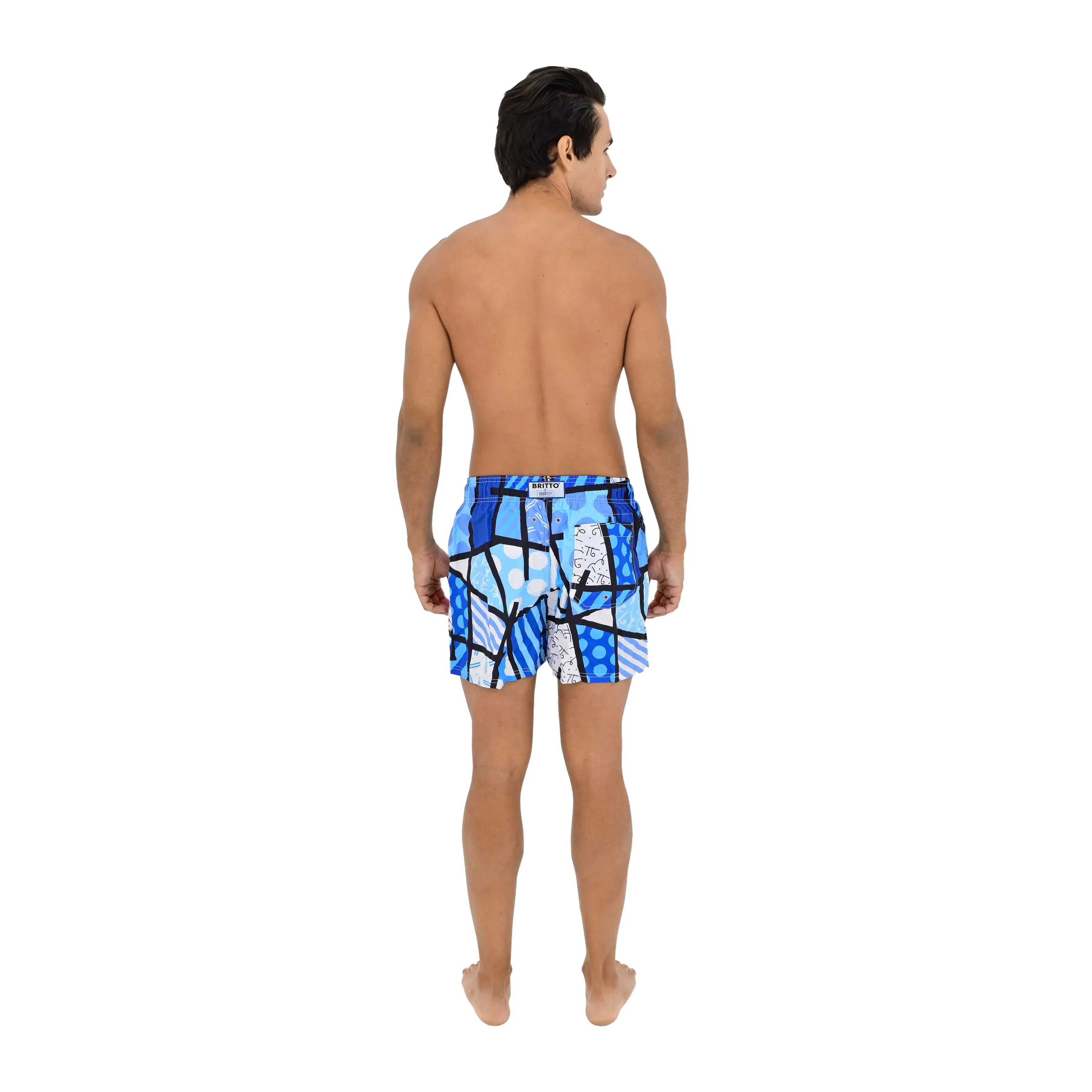 Limited Edition - BRITTO®  Shorts - BLUE LANDSCAPE - MEN