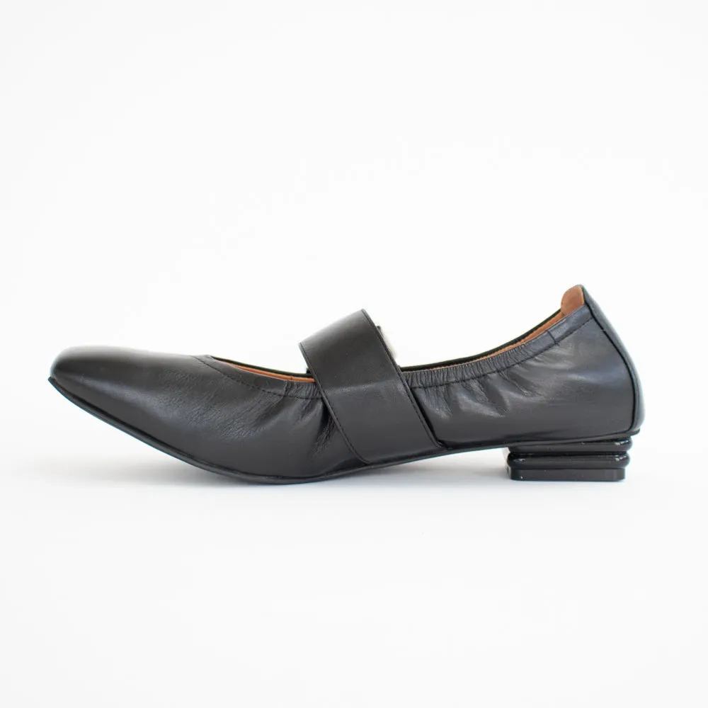 Spruce Black