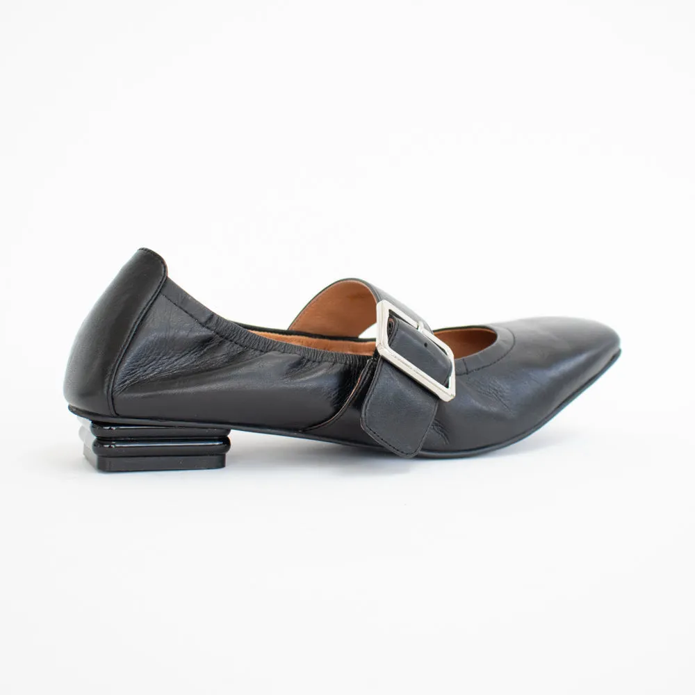 Spruce Black
