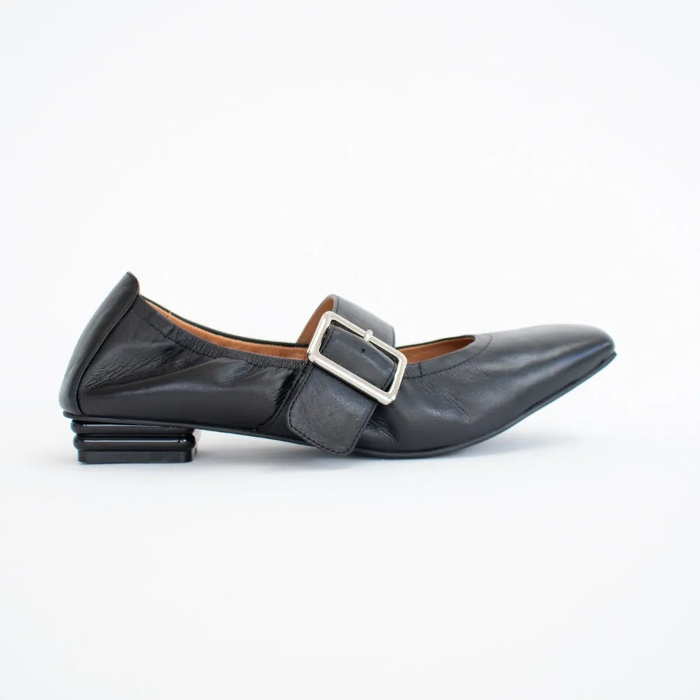 Spruce Black