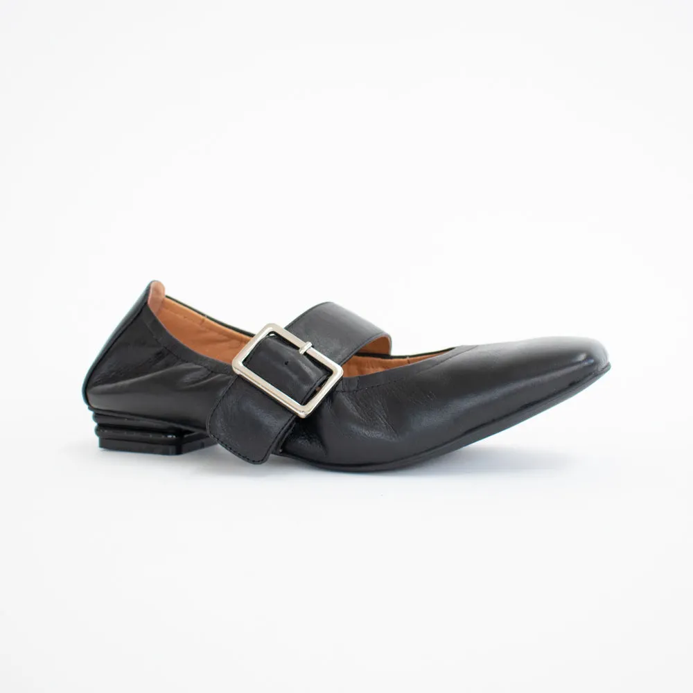 Spruce Black